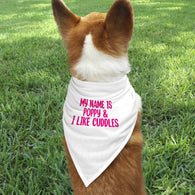 Personalised I Like Cuddles Pet / Dog Bandana